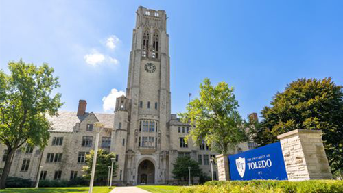 SiteMap Case Studies: Real-World Success Stories