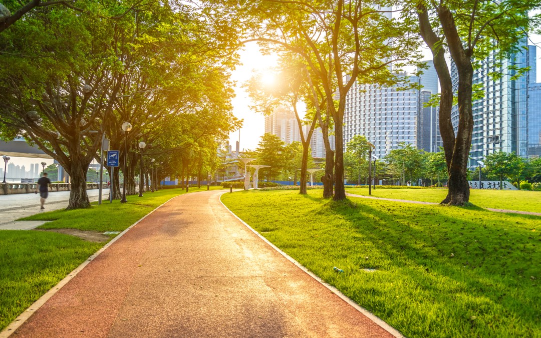 Mapping the Future: SiteMap®-Driven Evolution of Infrastructure Asset Software